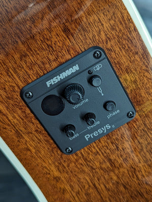 AMI-Guitars JM12-1E close up of the controls for the electronics