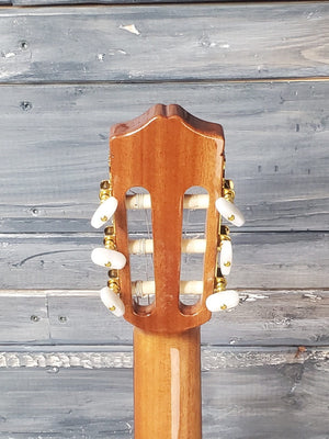 Cordoba Left Handed C5 back of the headstock