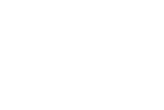 Adirondack Guitar Logo
