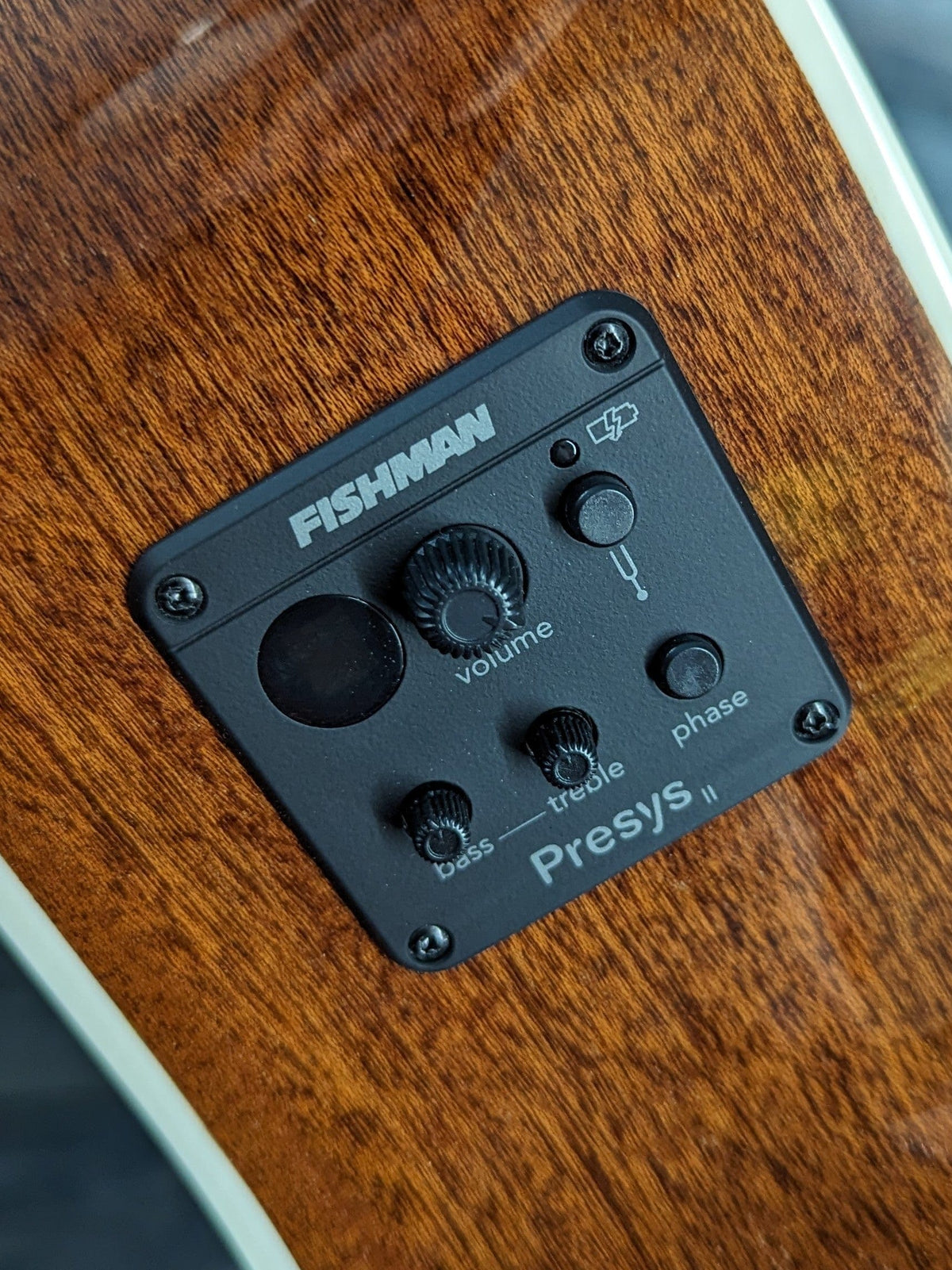 AMI-Guitars JM12-1E close up of the controls for the electronics