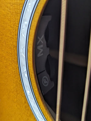 Martin D-X2E controls for electronics in soundhole