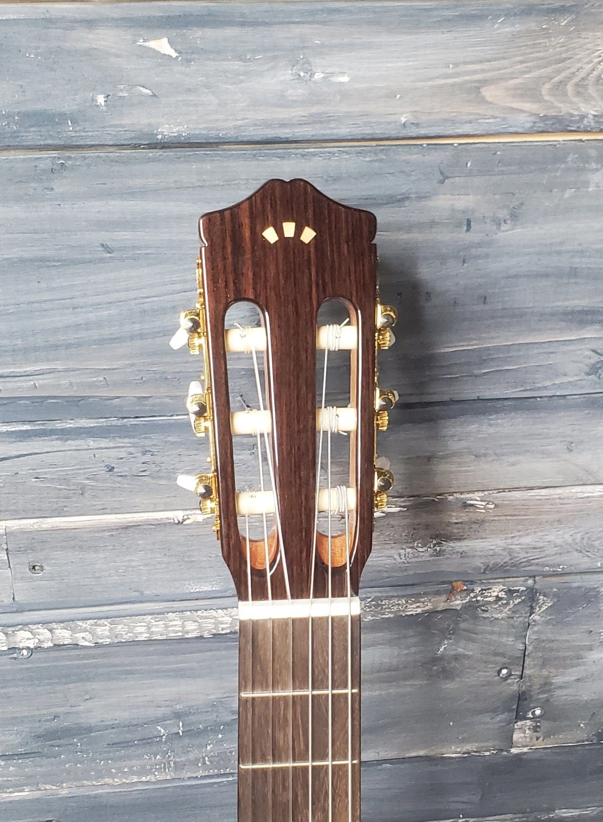 Cordoba Classical Guitar Cordoba Left Handed C5 Classical Nylon String Guitar