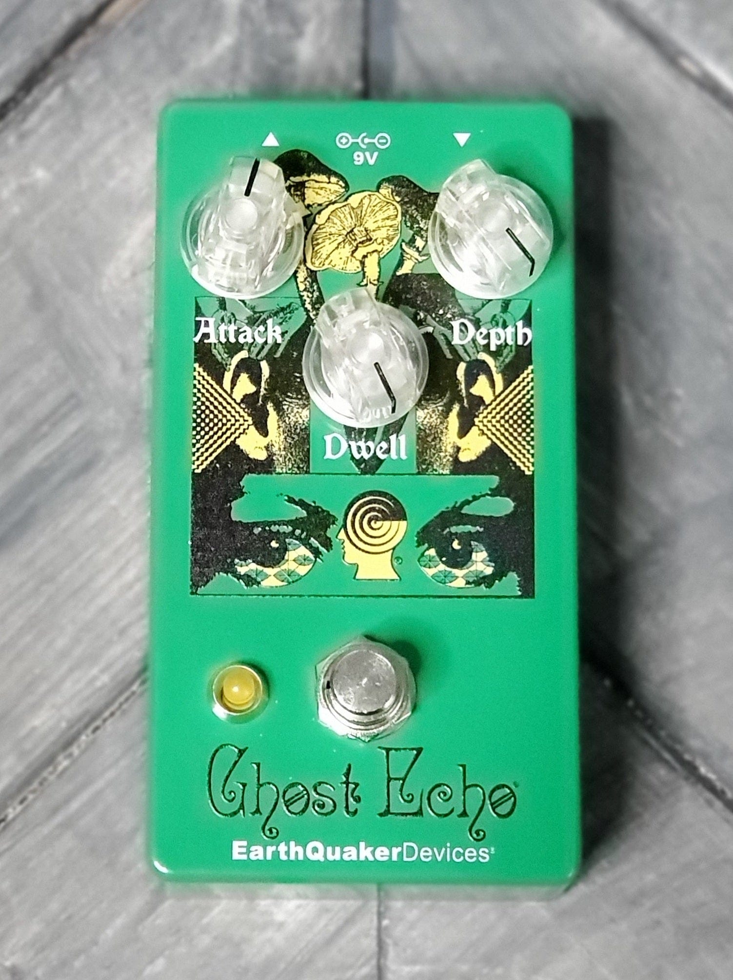 echo drive pedal Earthquaker Devices Brain Dead Ghost Echo Spring Reverb Effect Pedal