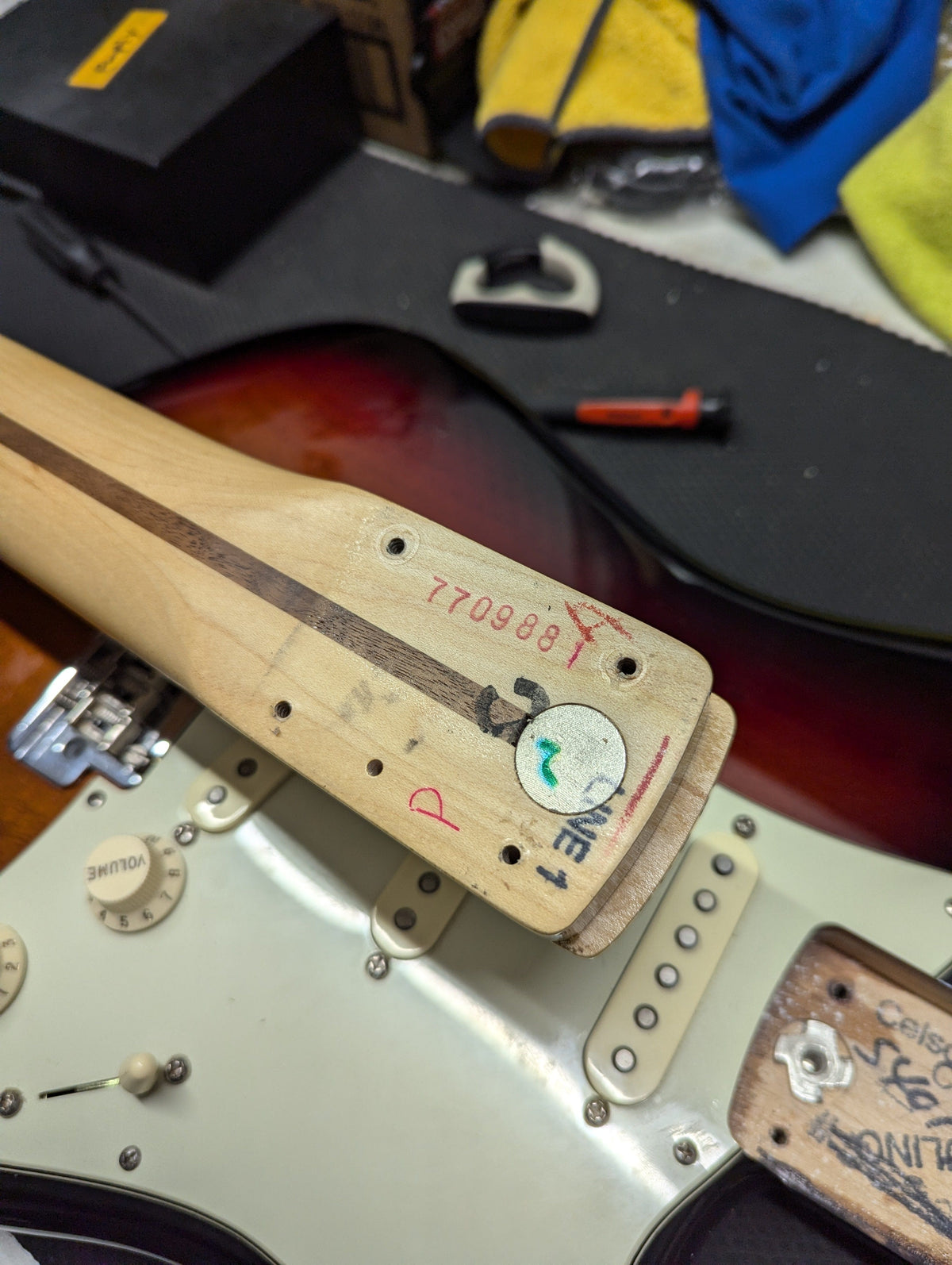 Used Fender 2016 American Professional Strat back of the neck