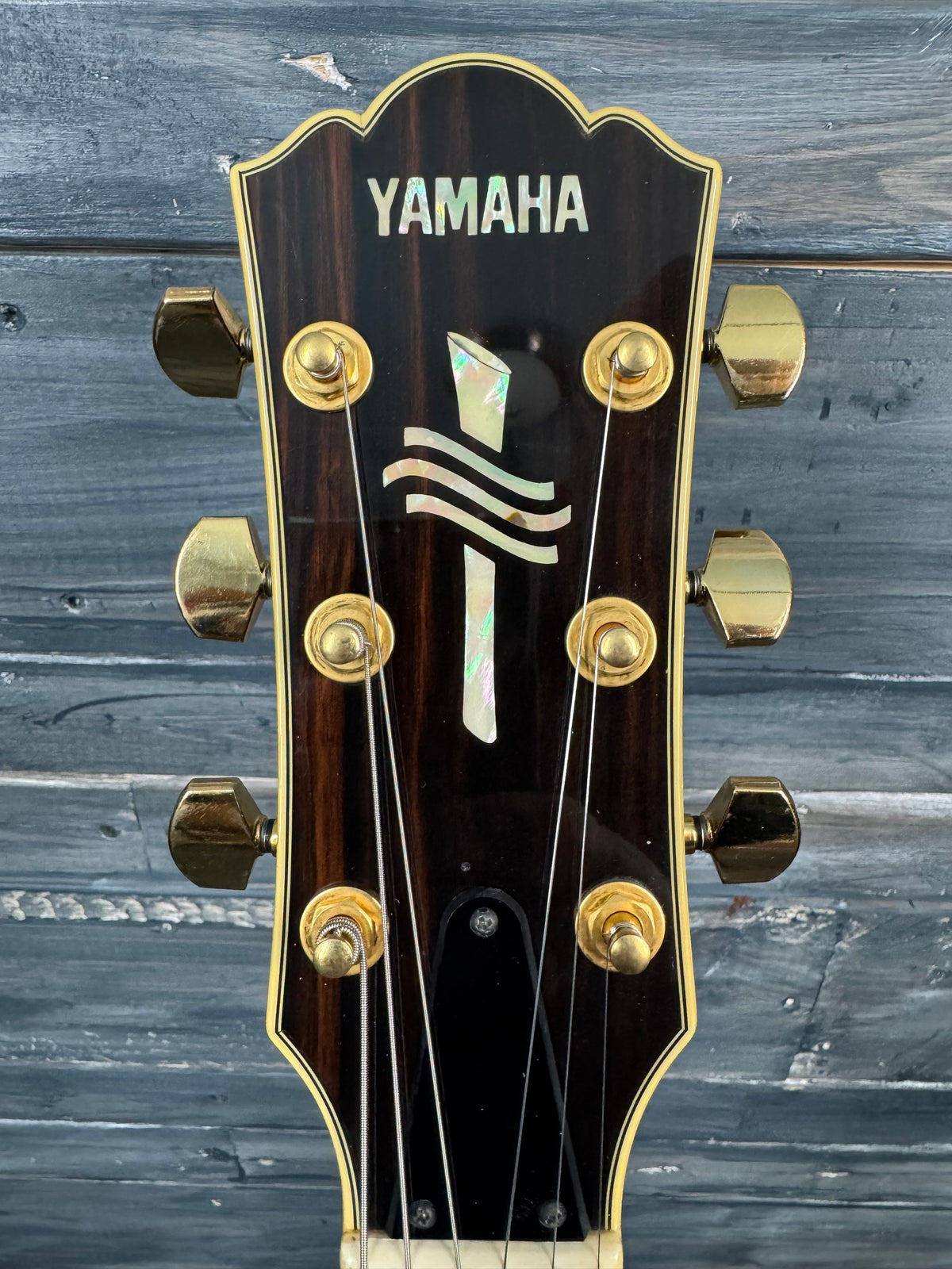 This is a photo of the front of the guitar.