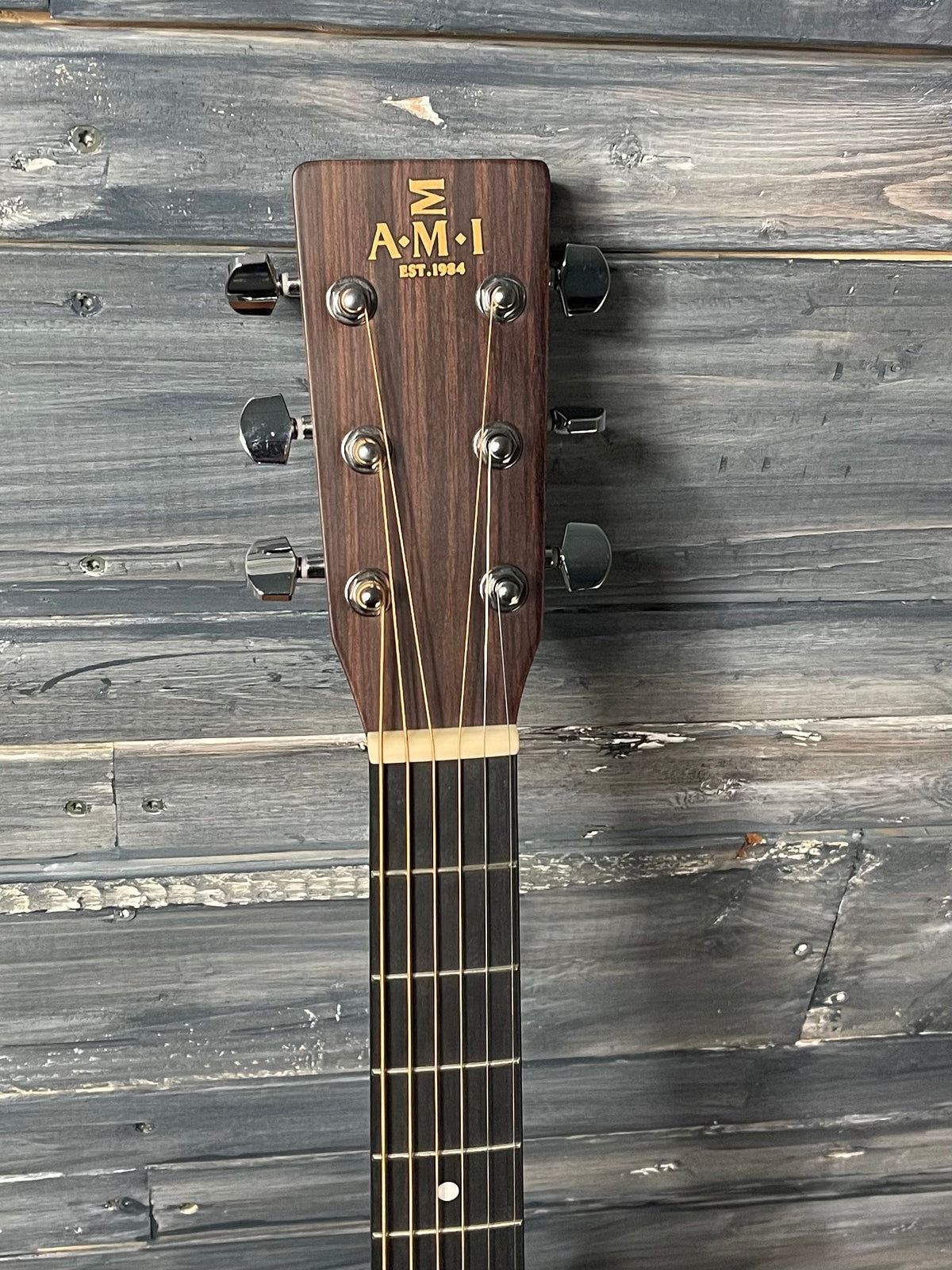 AMI-Guitars Acoustic Guitar AMI-Guitars DM-1 Standard Series Acoustic Guitar