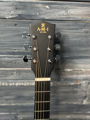 AMI-Guitars Acoustic Guitar AMI-Guitars LM-AGE AG Series Acoustic Electric Guitar- Satin Sunburst