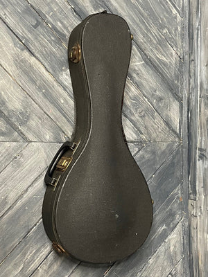 Used Martin mandolin hard case
