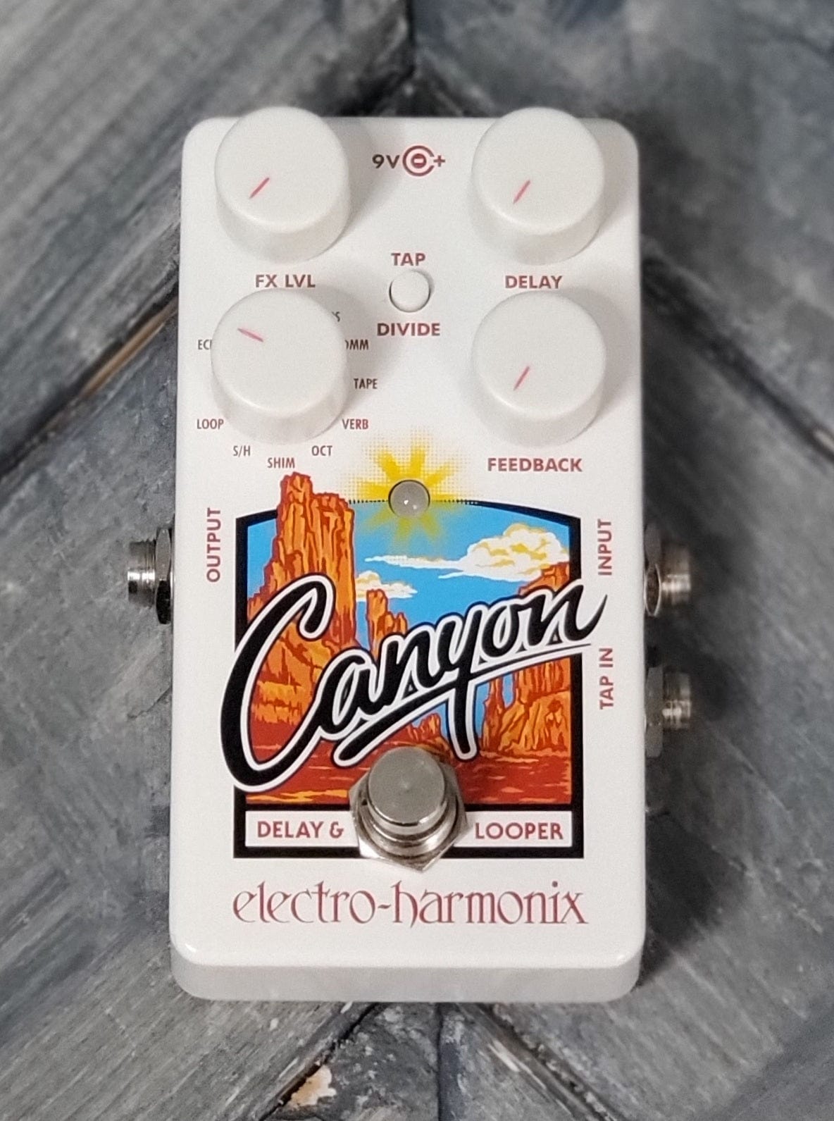 canyon pedale Electro-Harmonix Canyon Delay and Looper Pedal