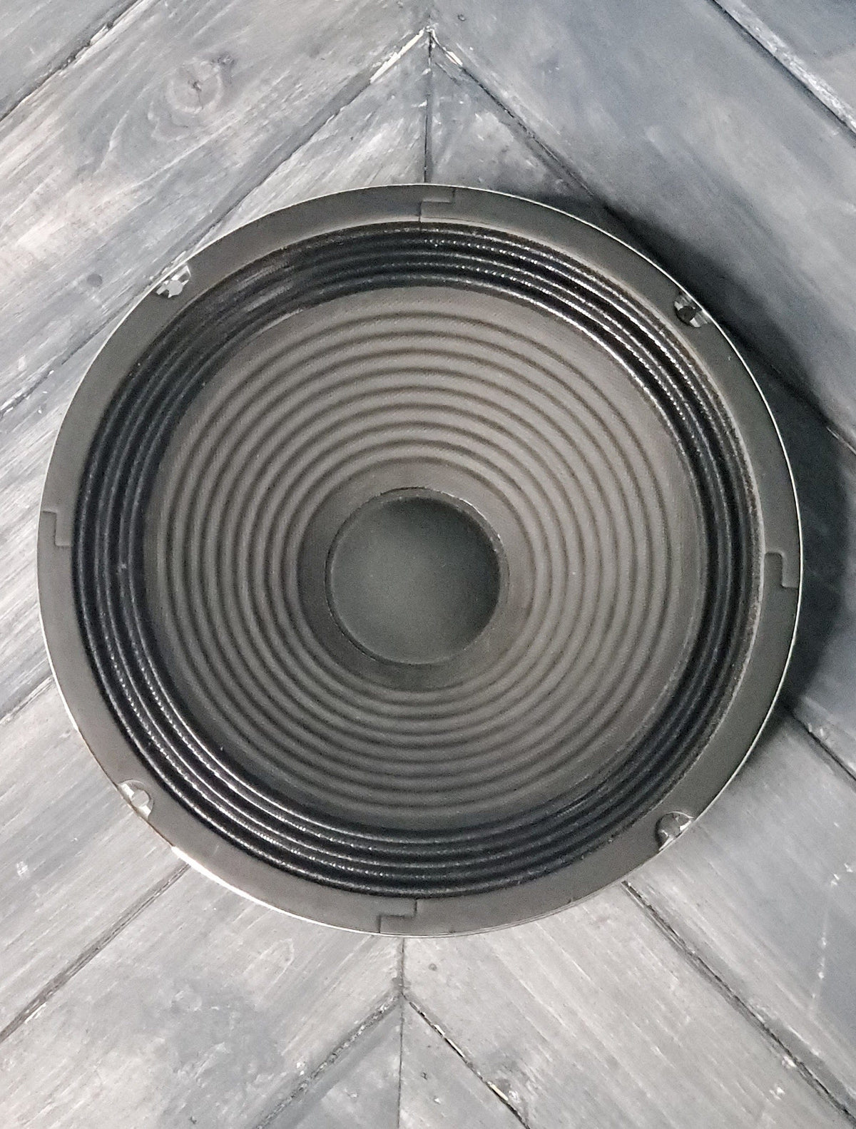 Epiphone Amp Used Epiphone 8-inch Electric Guitar Speaker