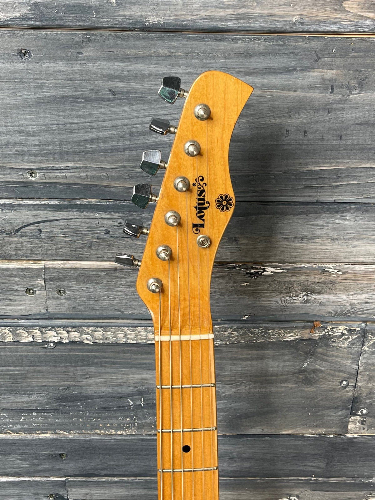 Used Lotus 80's MIJ HH Strat front of the headstock